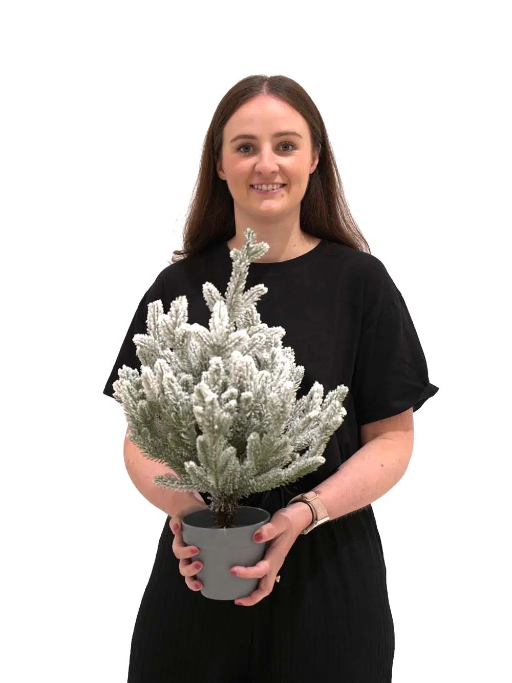SN14021-_Potted-Mini-Snowy-Tree-45cm_event_prop_hire_EPH_Creative_400-copy-_optimised