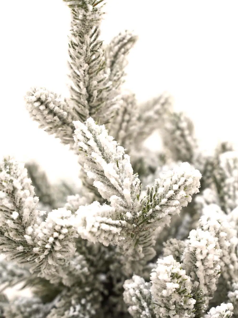 SN14021-_Potted-Mini-Snowy-Tree-45cm_event_prop_hire_EPH_Creative_404-copy-_optimised