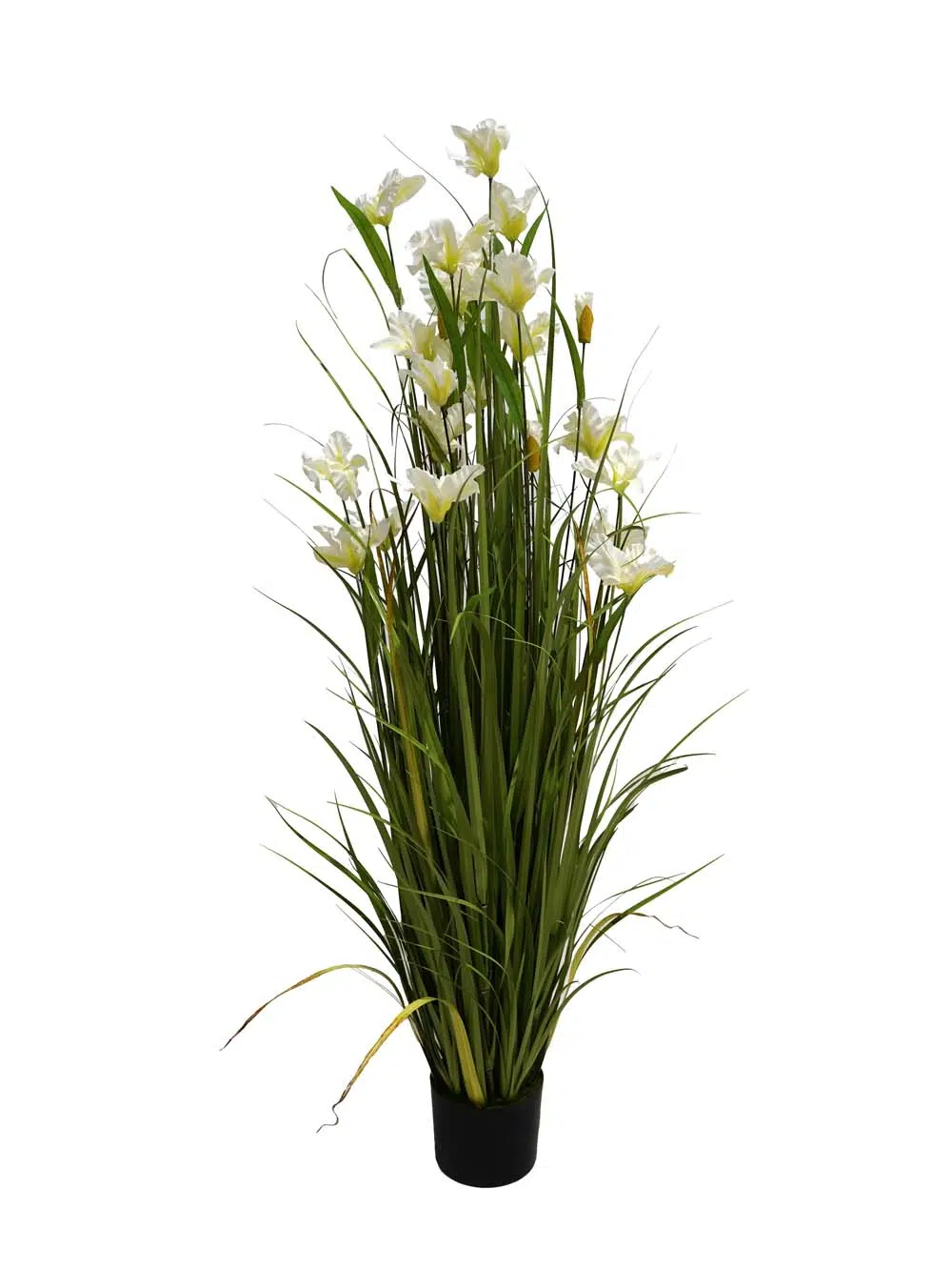 SN14518-_Iris-White-Medium_event_prop_hire_EPH_Creative_011-copy-_optimised