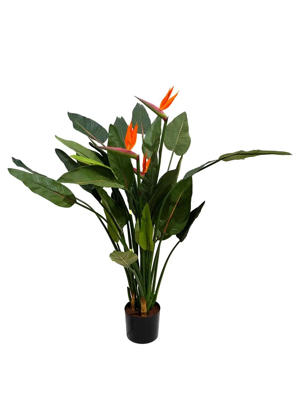 SN14519-_Bird-of-Paradise-Medium_event_prop_hire_EPH_Creative_056-copy-_optimised