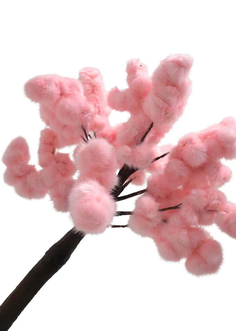 SN14674-_Medium-Trunk-Tree-2.5m-Candy-Floss_event_prop_hire_EPH_Creative_307-copy-_optimised
