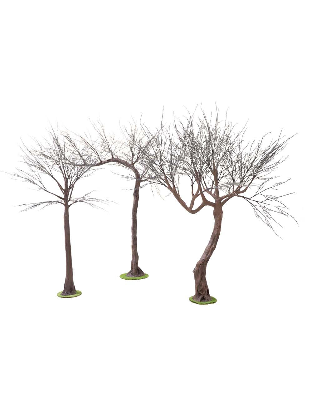 SN14828_SN14829_SN14830_Spooky-Trees_event_prop_hire_EPH_Creative_042-copy-_optimised