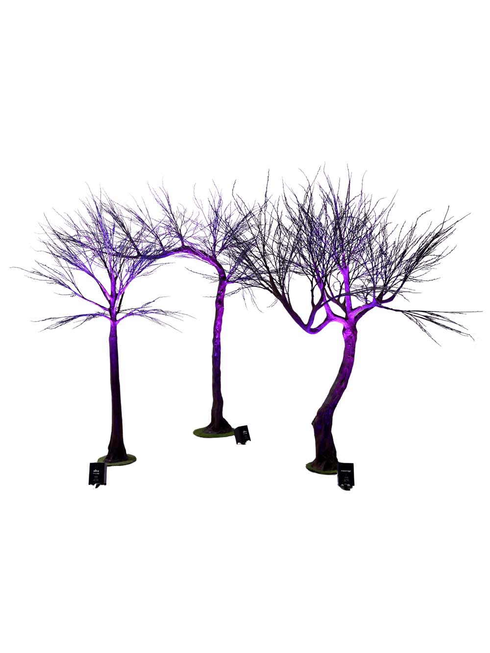 SN14828_SN14829_SN14830_Spooky-Trees_event_prop_hire_EPH_Creative_047-copy-_optimised