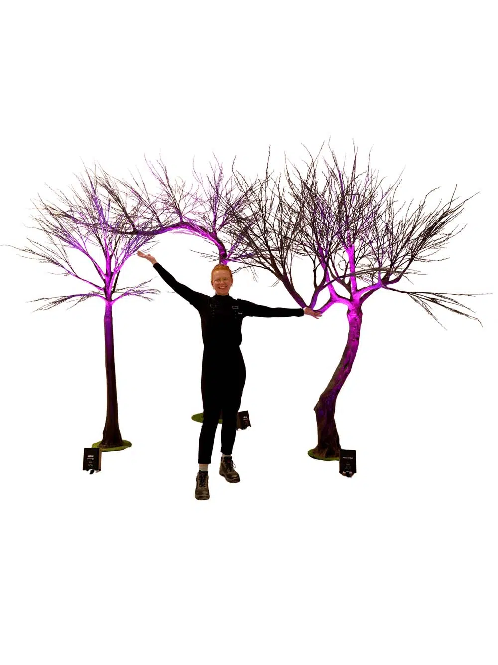 SN14828_SN14829_SN14830_Spooky-Trees_event_prop_hire_EPH_Creative_067-copy-_optimised