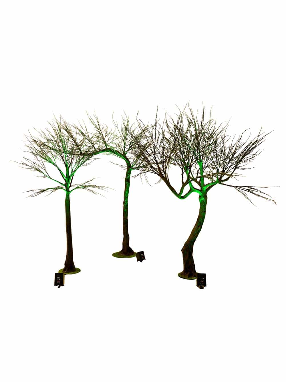 SN14828_SN14829_SN14830_Spooky-Trees_event_prop_hire_EPH_Creative_074-copy-_optimised-1