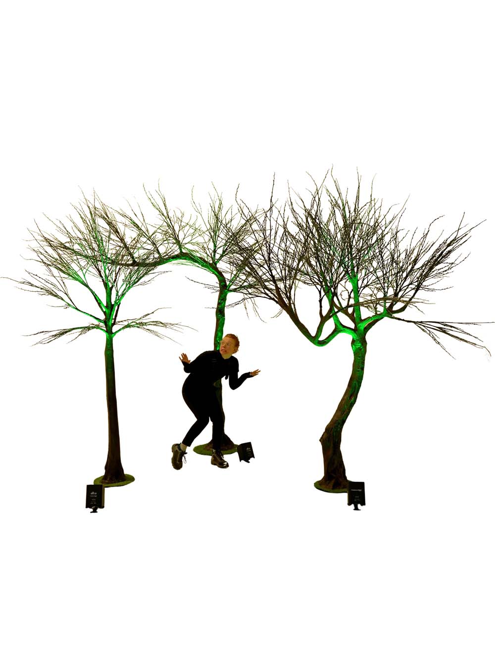 SN14828_SN14829_SN14830_Spooky-Trees_event_prop_hire_EPH_Creative_076-copy-_optimised