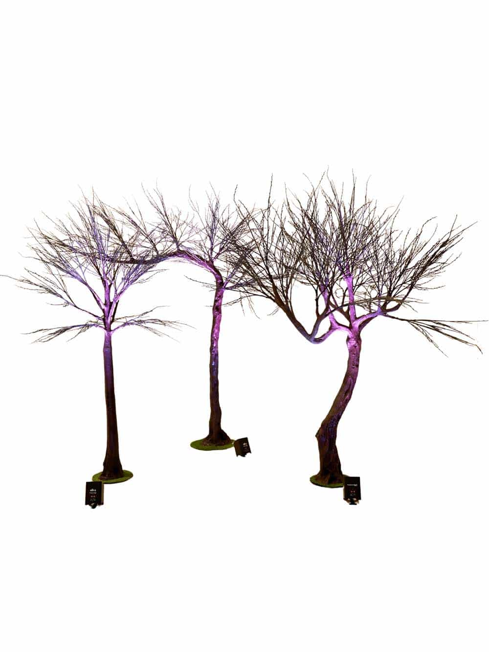 SN14828_SN14829_SN14830_Spooky-Trees_event_prop_hire_EPH_Creative_092-copy-_optimised-1