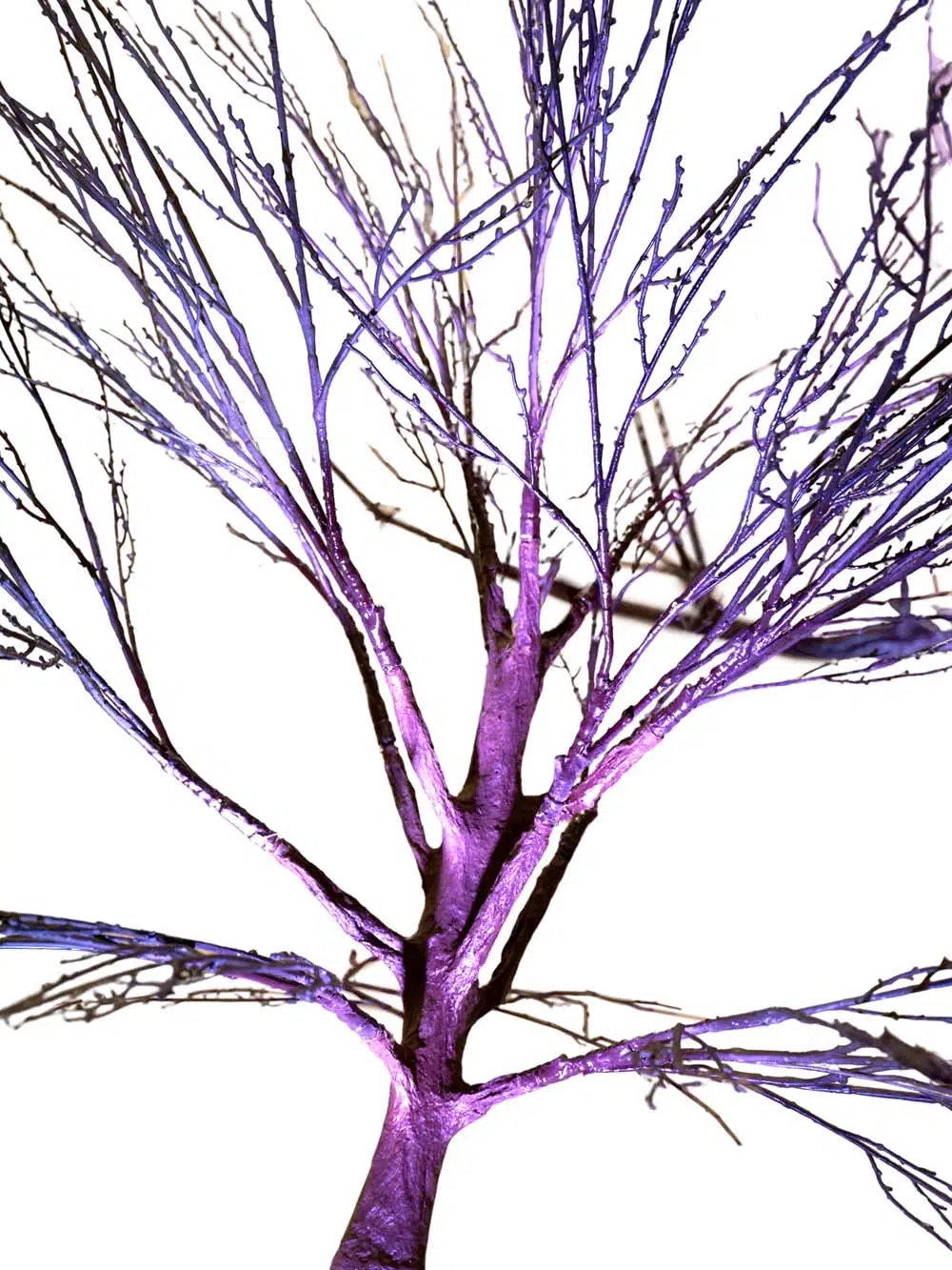 SN14828_SN14829_SN14830_Spooky-Trees_event_prop_hire_EPH_Creative_098-copy-_optimised